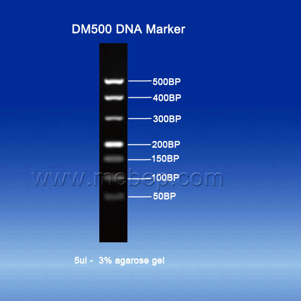 DM500 DNA Marker