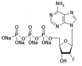 2'F-dATP
