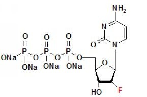 2'F-dCTP