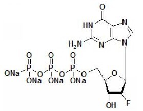 2'F-dGTP