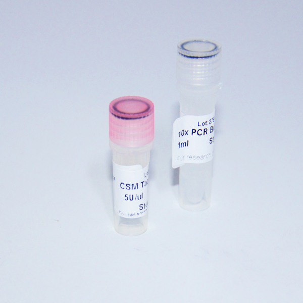 CSM Taq DNA Polymerase