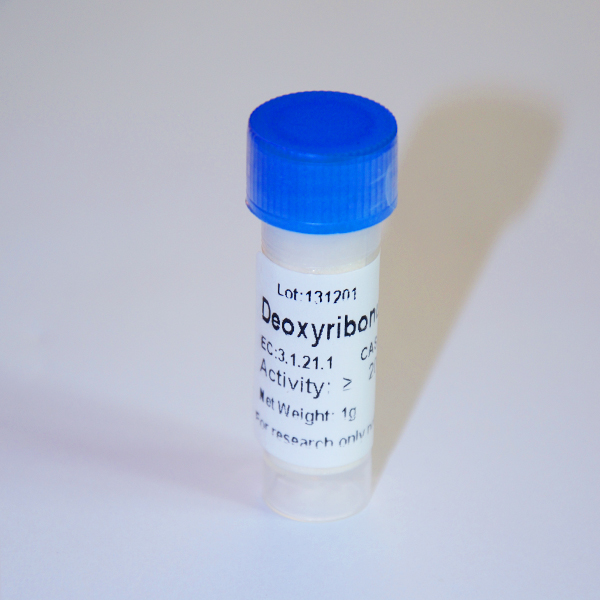 Deoxyribonuclease I, DNase I, Lyophilized Powder