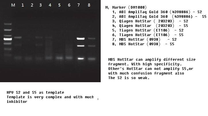 Hot Start Taq DNA Polymerase