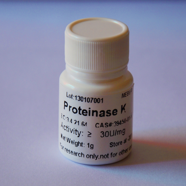 Proteinase K, Lyophilized Powder