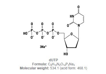 dUTP