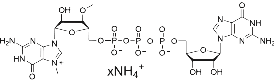 CAP03, C22H32N10O18P3, ARCA Ammonium Solution 100 mM