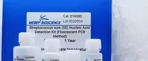 DTK080, Streptococcus suis (SE) Nucleic Acid Detection Kit (Fluorescent PCR Method)