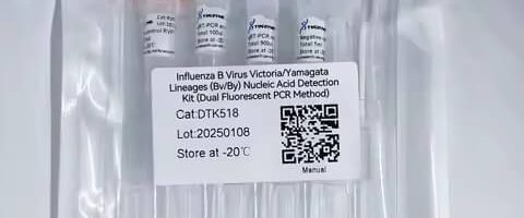DTK518, Influenza B Virus Victoria Yamagata Lineages (Bv By) Nucleic Acid Detection Kit (Dual Fluorescent PCR Method)