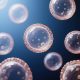 Exosome