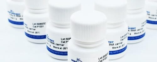 P133101, Ploy A RNA carrier 2