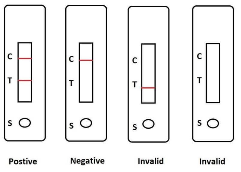 PCRD001 PCRD lateral flow strips Structural diagram