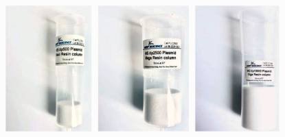 High copy restriction digestion
