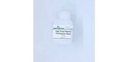 High copy restriction digestion