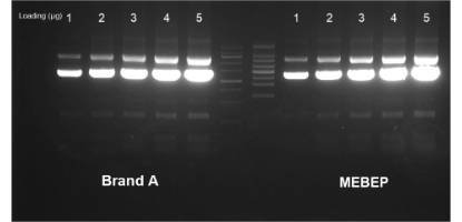 High copy restriction digestion