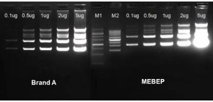 Low copy restriction digestion