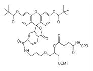 Structural formula of 3'FAM-CPG raw material