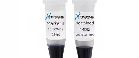 Protein Marker 02
