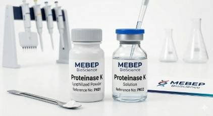 Proteinase K Dissolution, Storage, and Handling Guide