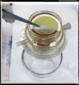 Water Sample DNA Extraction Guide DNK46