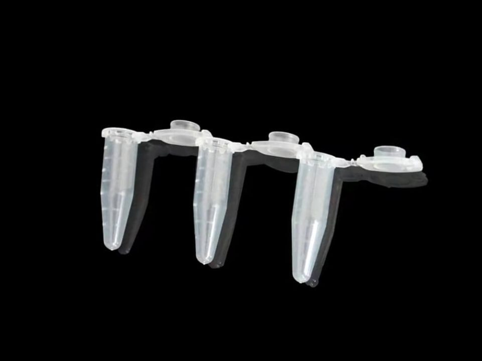YCT-1.5-T, 1.5 ml eppendorf tubes