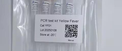 YF01, PCR test kit Yellow Fever