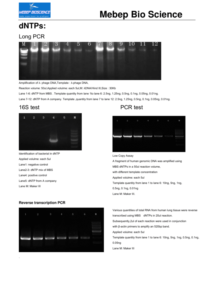 dNTP performance test
