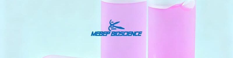 SGS48, BDT 3.1, BDT 3.1 kit, BDT 3.1 Sanger Sequencing Kit, BDT 3.1 Sequencing Kit, BigDye 3.1, BigDye 3.1 kit, BigDye 3.1 Sanger Sequencing Kit, BigDye 3.1 sequencing kit , Sanger Sequencing kit, Sanger Sequencing Mix, SGS48 BDT, SGS48 BigDye, SGS48 kit, SGS48 Sanger Sequencing.