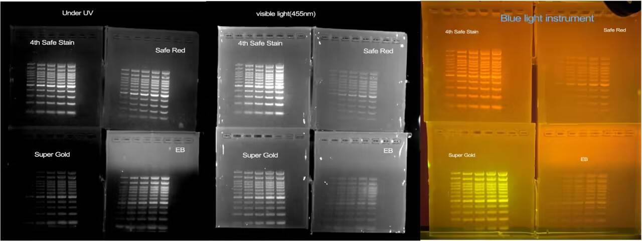 st08, 4th Generation safe stain 2